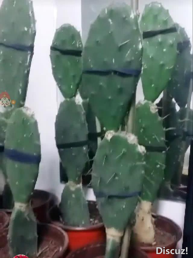0.jpg