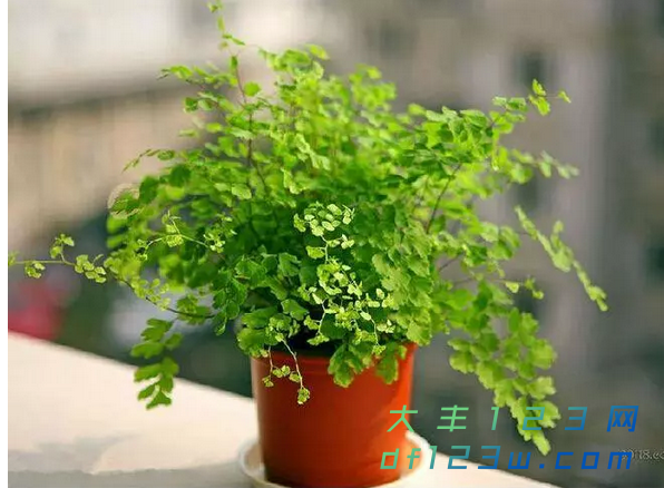 微信图片_20180820162004.png