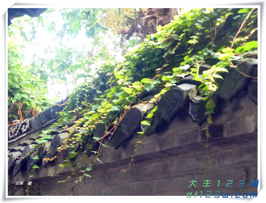 微信图片_20180903162407.jpg