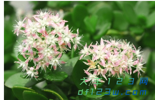 微信图片_20180919170053.png