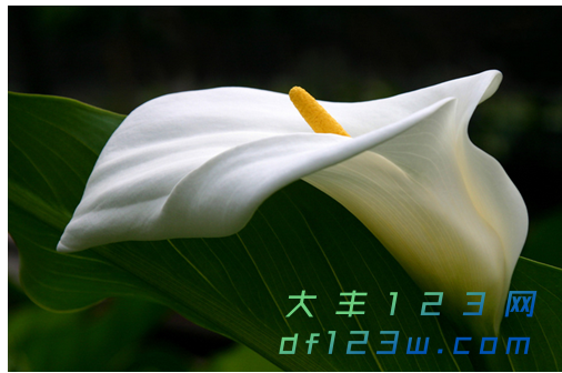 微信图片_20180919171500.png
