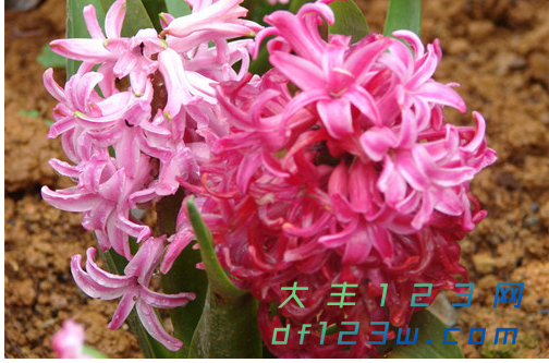 微信图片_20180919172921.png