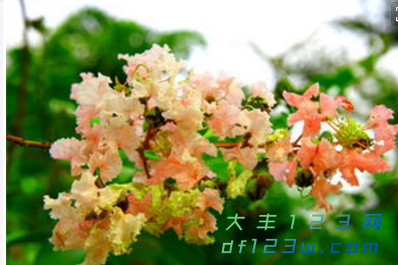微信图片_20180919173648.png