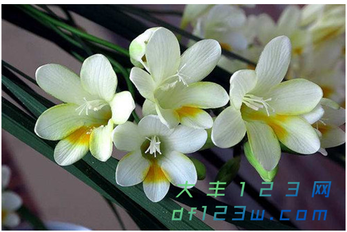 微信图片_20180919173825.png