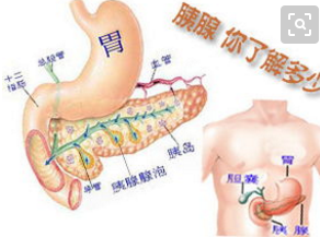 微信图片_20180920151518.png