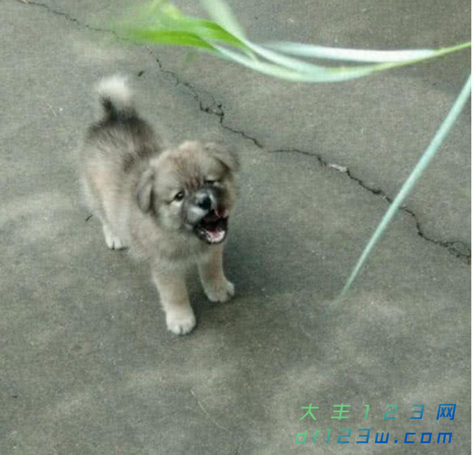 微信图片_20180921102925.png