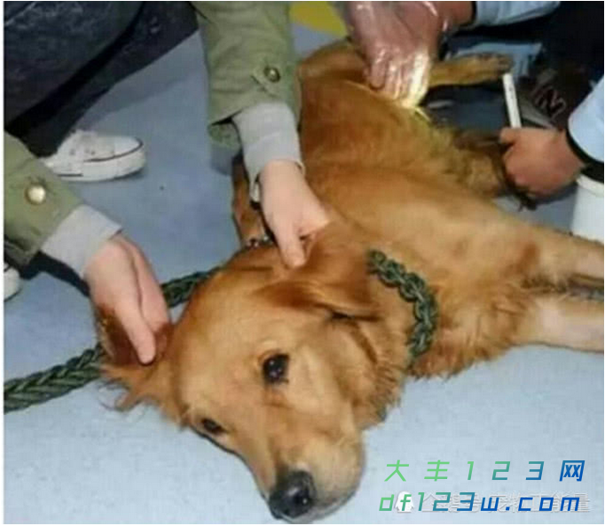 微信图片_20180921103506.png