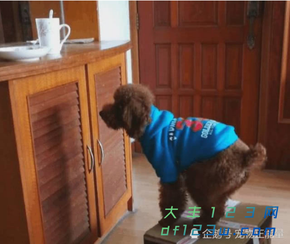 微信图片_20180921105036.png