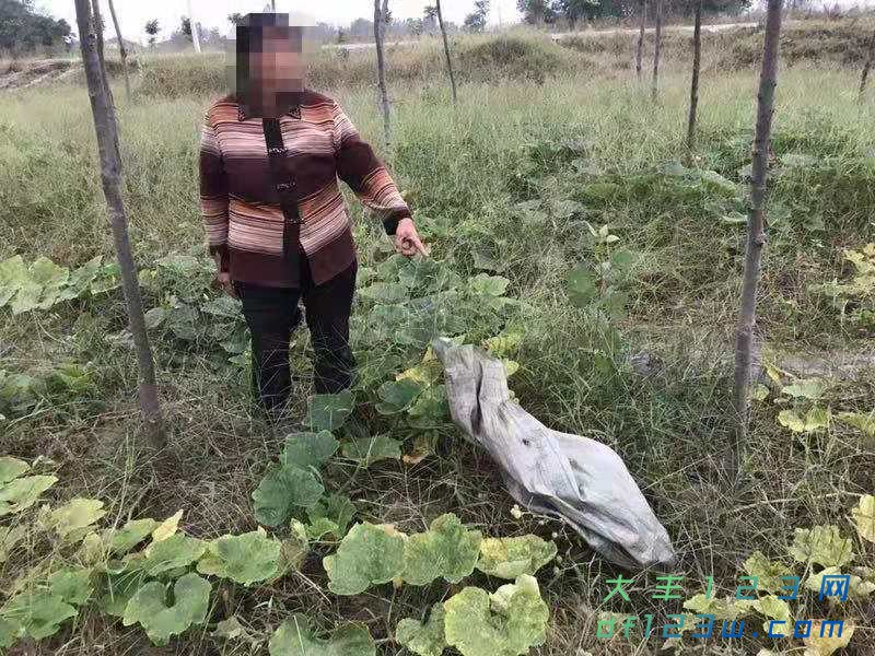 微信图片_20181024090158.jpg
