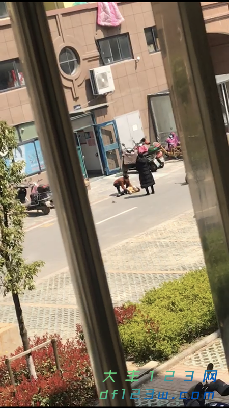 微信图片_20190402084729.png