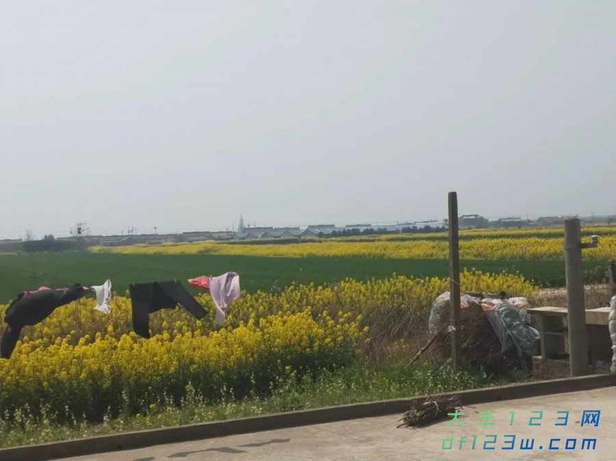 微信图片_20190408103339.jpg