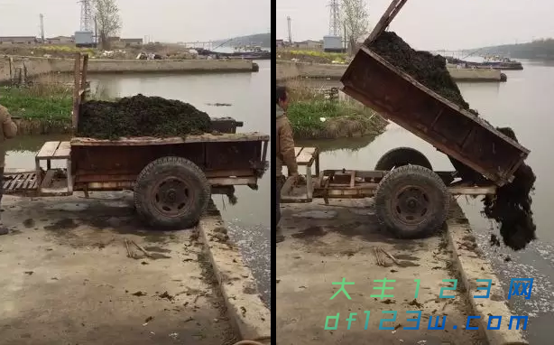 搜狗截图19年04月15日0848_1.png