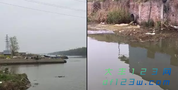 搜狗截图19年04月15日0848_2.png