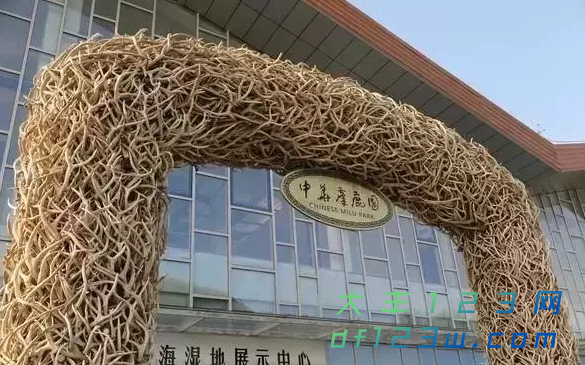 搜狗截图19年06月10日0837_4.png