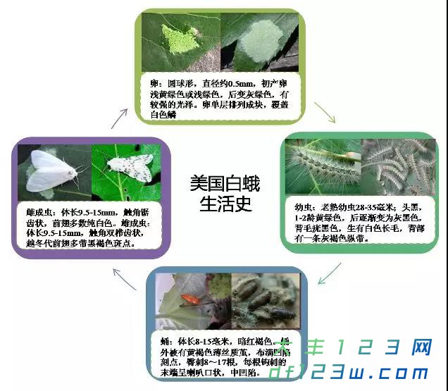 微信图片_20190618090119.jpg