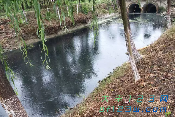 搜狗截图19年06月21日0902_4.png