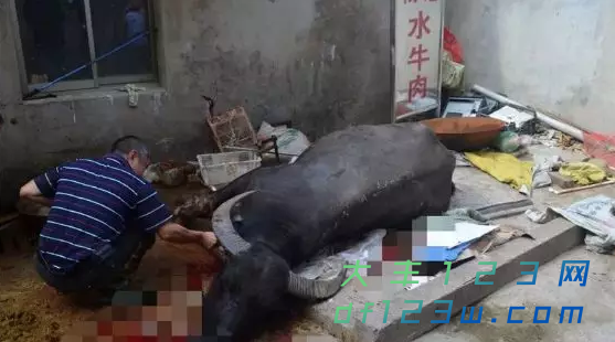 搜狗截图19年08月12日0950_1.png