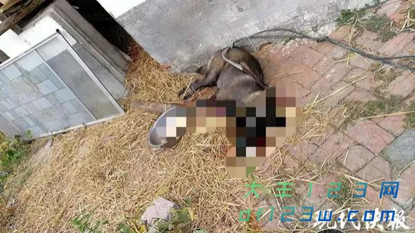 微信图片_20190920085605.jpg
