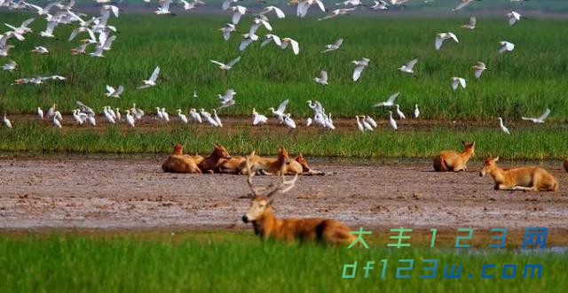 d000baa1cd11728b5e941ec4b05a4dc9c1fd2ccc.jpeg
