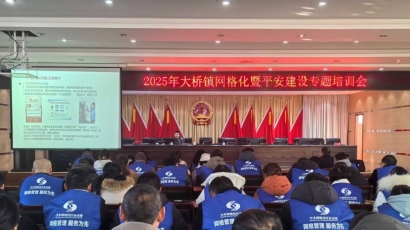 大桥镇举办网格化与平安建设专题培训