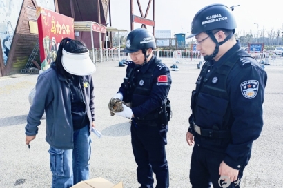 盐城边检民警成功救助国家二级保护动物长耳鸮