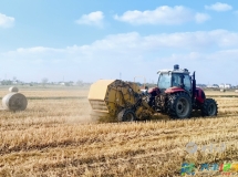 草堰镇秸秆综合利用率达100%