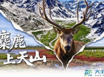 区融媒体中心纪录片《麋鹿上天山》在南京“出圈”