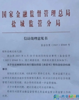 盐城一银行乱象：信贷档案成“糊涂账”，前董事长被抓再添“合规殇”