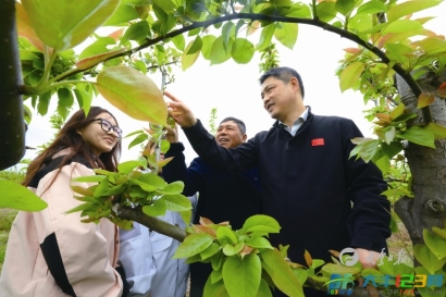 王伟明：以实干绘就圩东振兴新画卷