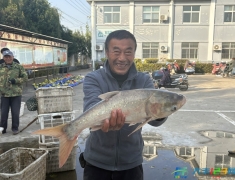 振兴路上丨西团镇西灵村：同筑鱼水情 润泽百家心