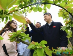 王伟明：以实干绘就圩东振兴新画卷