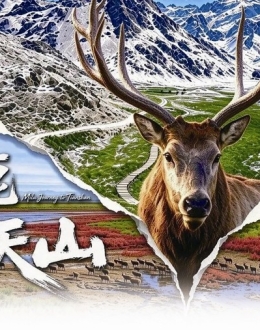区融媒体中心纪录片《麋鹿上天山》在南京“出圈”