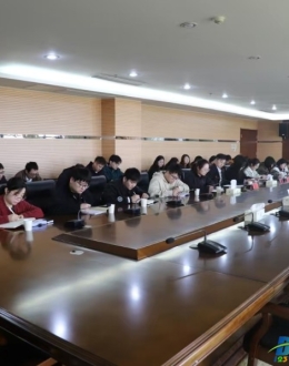 大桥镇开展年轻干部理论学习专题研讨活动