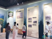 大桥镇公益暑托班：用爱陪伴，用心守护
