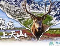 区融媒体中心纪录片《麋鹿上天山》在南京“出圈”