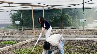 丰收大地共享菜园打造沉浸式农旅体验