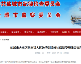 新丰镇副镇长沈辉接受纪律审查和监察调查