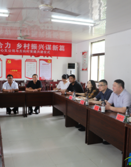 平安产险盐城中支与方向村 共绘乡村振兴新蓝图