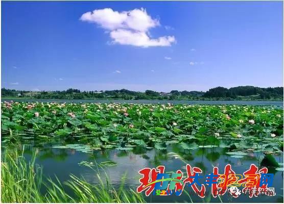 微信图片_20170822092009.jpg