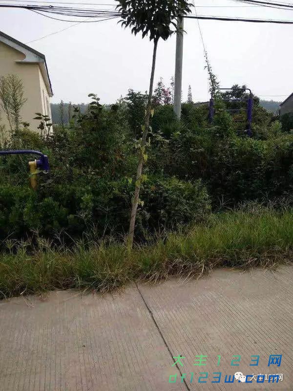 微信图片_20170924143228.jpg