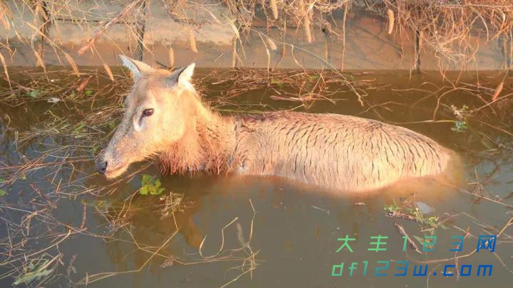 微信图片_20171106094242.jpg