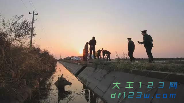 微信图片_20171106094238.jpg