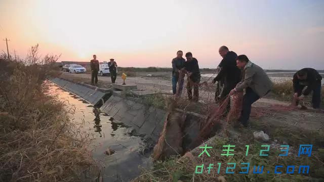 微信图片_20171106094231.jpg