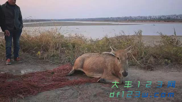 微信图片_20171106094227.jpg