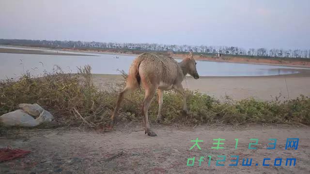 微信图片_20171106094146.jpg