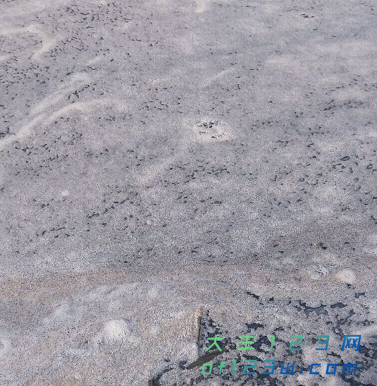 1511761888(1).png