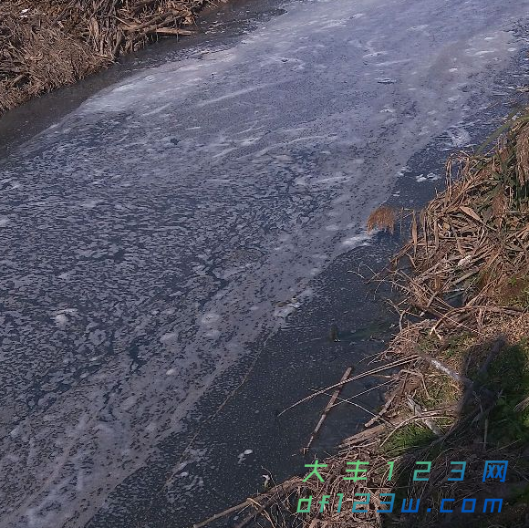 1511761907(1).png