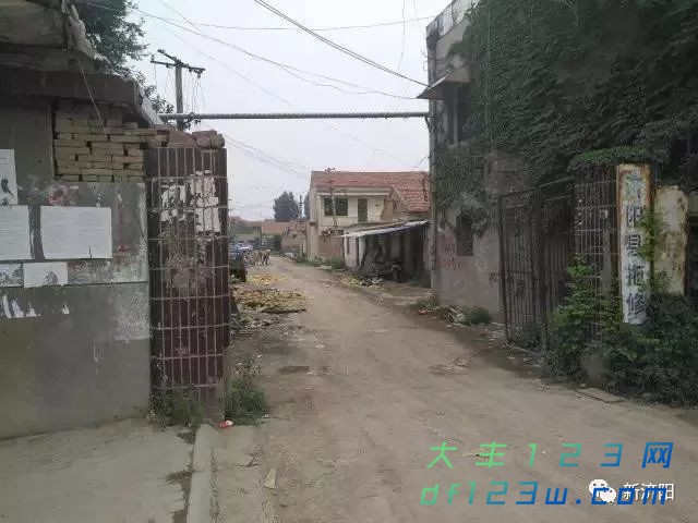 0.jpg