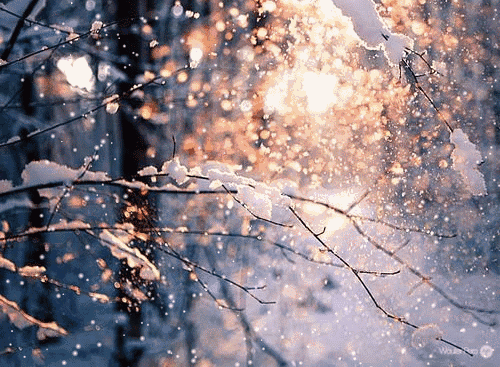 267e1173f7484622bfcb4058447c7ce7.gif