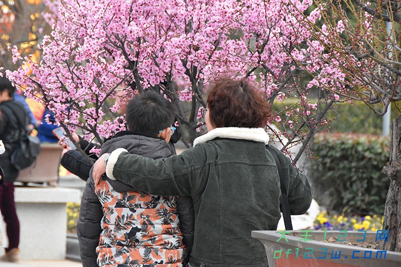 DSC_1709.jpg